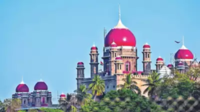 Raidurg verdict recall: Telangana HC reserves judgment