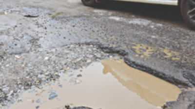 Mangaluru: Man bathes in NH pothole; video viral