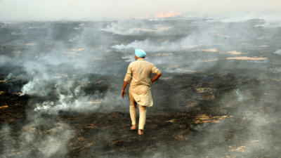 Stubble burning: Bleak winter looms as farmers say no to bio-decomposer use