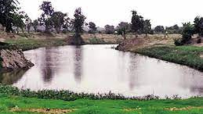 Goa: Encroacher at Curtorim directed to restore 4,000 sqm of riverine land