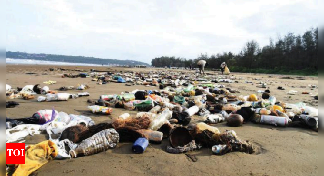 Congress: Congress: Goa's Beach cleaning agency inefficient, contract a ...