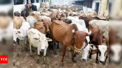 Cattle rearers stage protest in Gandhinagar