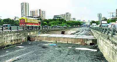Kopri rly bridge widening work to finish by Jan 2023: Sena MP