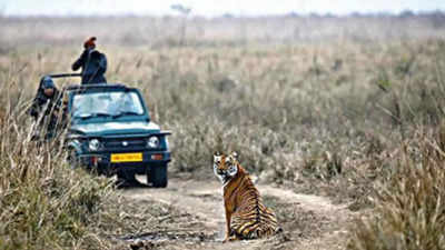 SC-appointed committee red flags shrinking of tiger habitat at Corbett