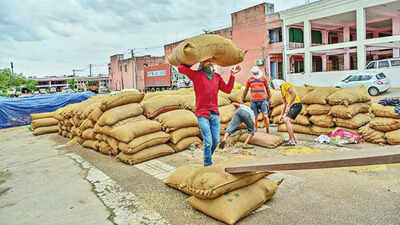 Ludhiana: Relatives of councillor, MC official in Vigilance net in food grain scam