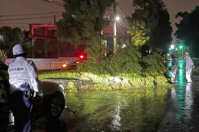 Storm hits southwest Japan, leaves 1 dead, another missing