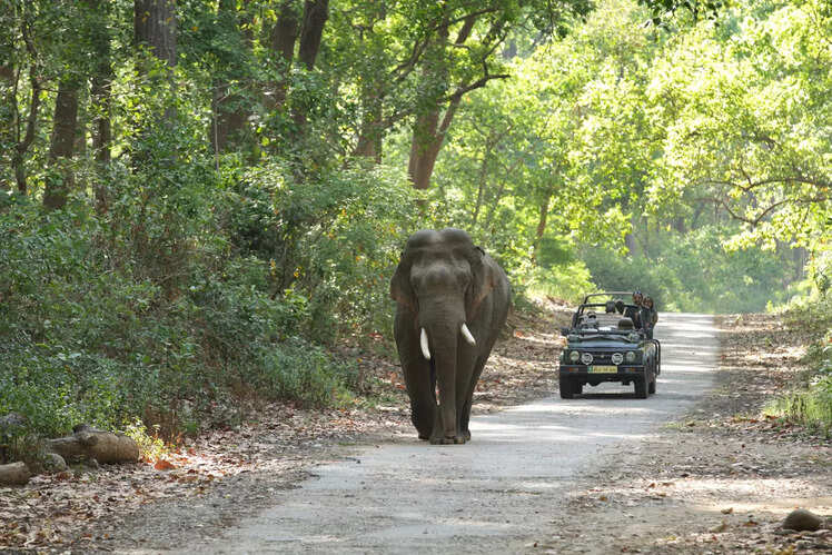 Jim Corbett National Park, Uttarakhand
