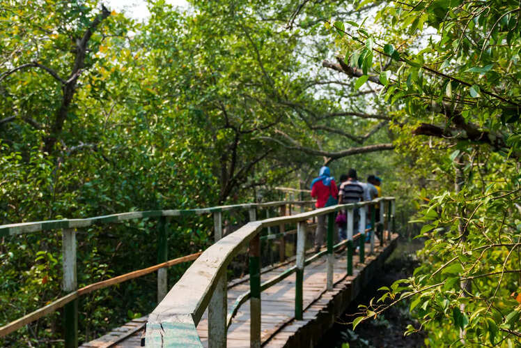 Sundarban Biosphere Reserve, West Bengal