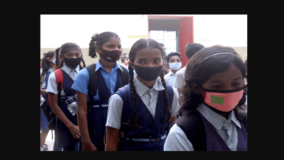 Flu spread: Will Tamil Nadu declare holidays for schools?