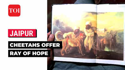 Cheetahs return to India, ray of hope for residents of Nizam Mahal in Cheetahwalon-ka-Mohalla