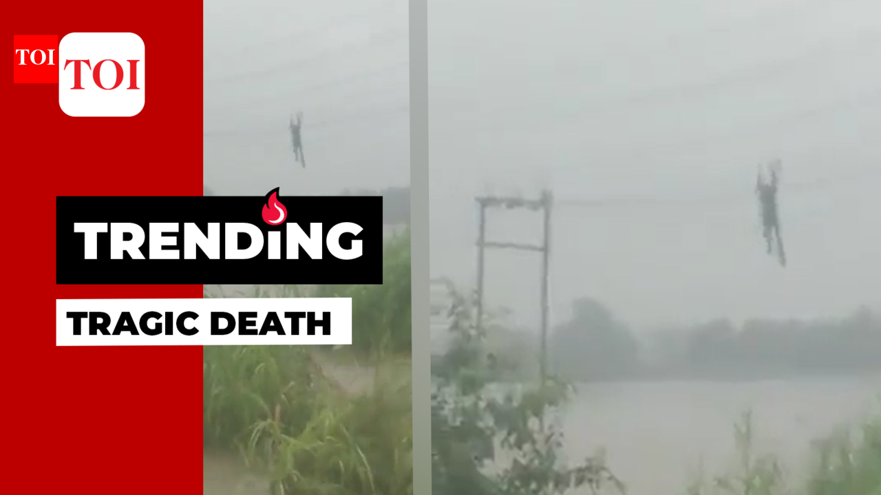 On cam: Electrician dangling from high tension wire falls into river ...