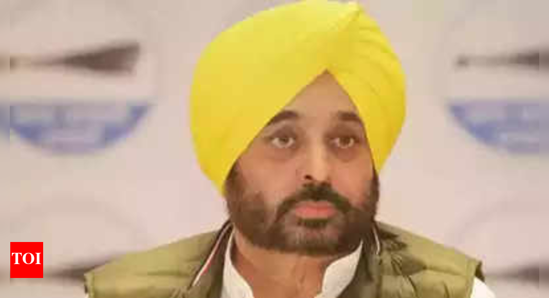 AAP denies &lsquo;drunk&rsquo; Punjab CM Bhagwant Mann deplaned