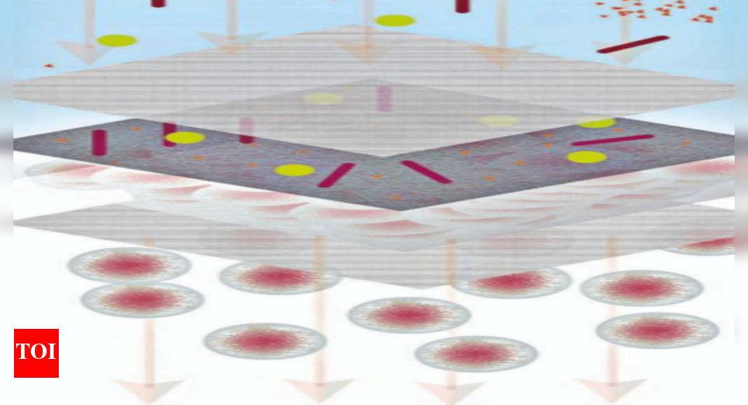 PDEU team develops nanotech patches for burns, wounds Ahmedabad News Times of India