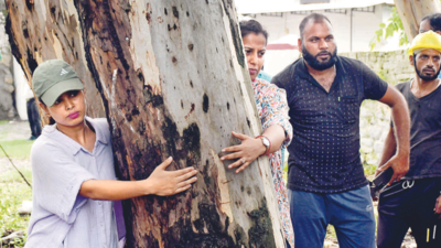 Uttarakhand: Now, 7,231 trees to be felled for two-lane road
