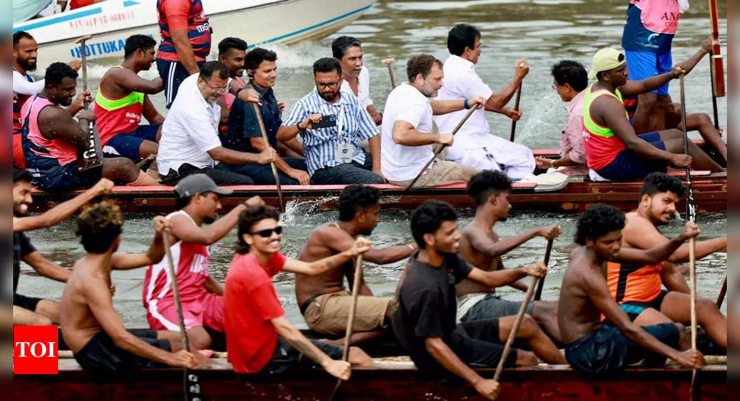 Kerala: Rahul Gandhi debuts as snakeboat oarsman | Kochi News – Times of India