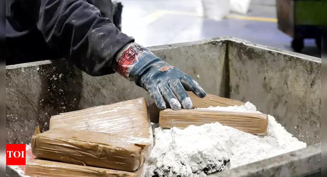 1.8 Tons Of Cocaine Seized, 5 Arrested In Nigerian Bust - Times Of India