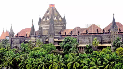 Bombay HC asks BMC on what basis did it fine mask violators