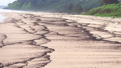 Maharashtra: Oil spill covers 8 km 2 off Sindhudurg coast