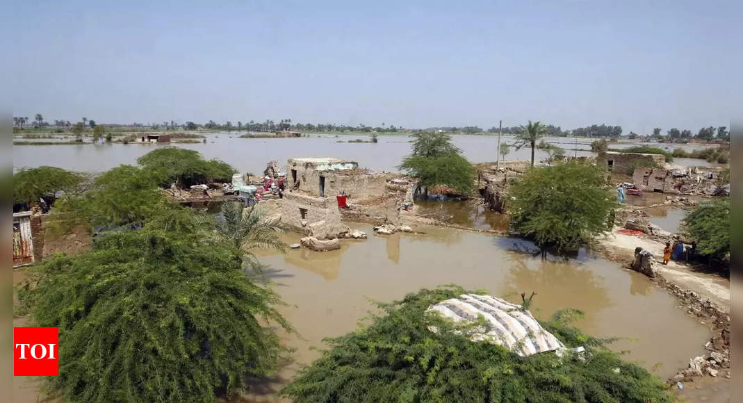 Les maladies transmises par les inondations au Pakistan pourraient devenir «incontrôlables» à mesure que les décès augmentent