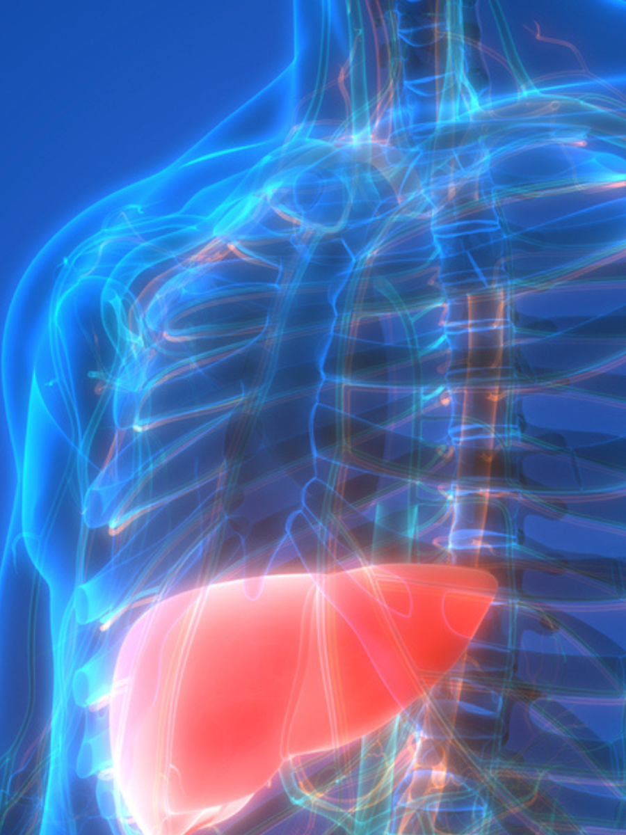 Foods That Can Help Reverse Fatty Liver Times Of India