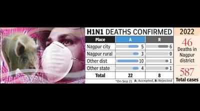 Audit confirms 22 more swine flu deaths, including 5 from city