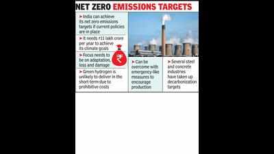 India may be net zero by 2065, if external factors don’t hit plans