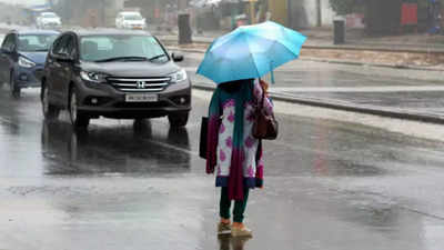 Heavy showers, thunder likely for two days in Gurugram: IMD