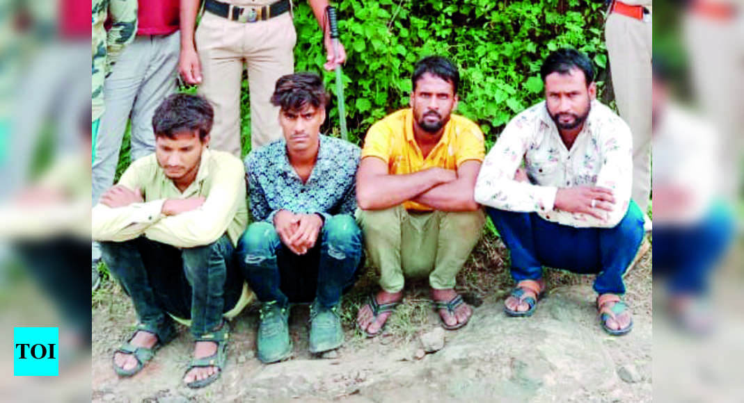 Sandalwood Smuggling Gang Busted, 4 Held | Rajkot News - Times of India