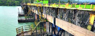 Inflows from hilly areas fill up Koyna dam, radial gates reopen