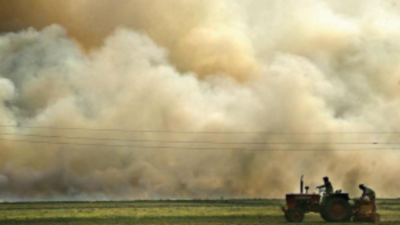 Centre asks state government to strive for achieving zero stubble burning in very near future