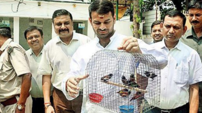 Patna: Sellers oppose Tej Pratap Yadav’s ‘free caged birds’ campaign