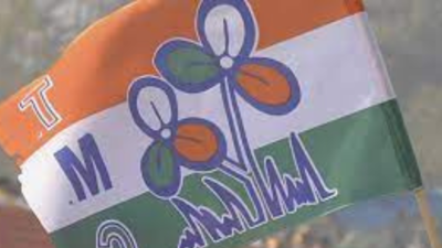 Goa: New town and country planning norms at cost of Goa’s agriculture sector, says Trinamool Congress