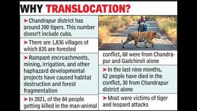 MoEFCC green signal for translocation of 4-5 tigers to Navegaon-Nagzira