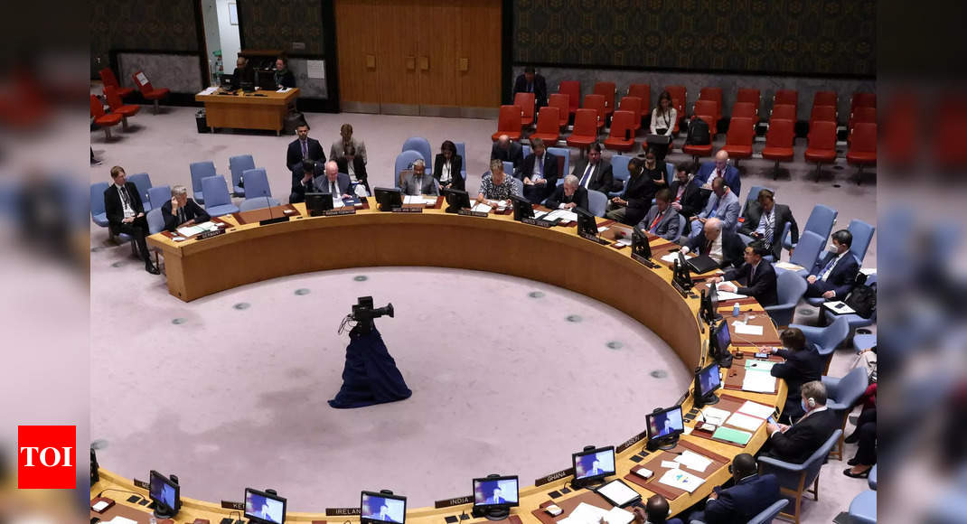 تصعيد الولايات المتحدة انتقاداتها لروسيا في مجلس الأمن الدولي