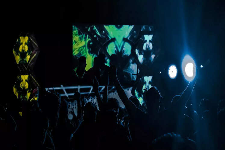 Sunburn Festival, Goa 