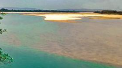 Odisha: National Green Tribunal committee to probe pollution in Brahmani river