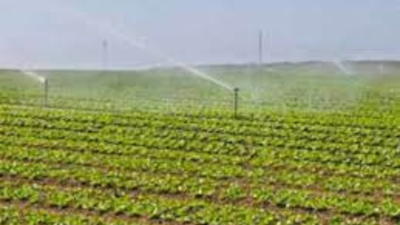 Odisha: Cabinet nod to Rs 2,500 crore worth irrigation projects