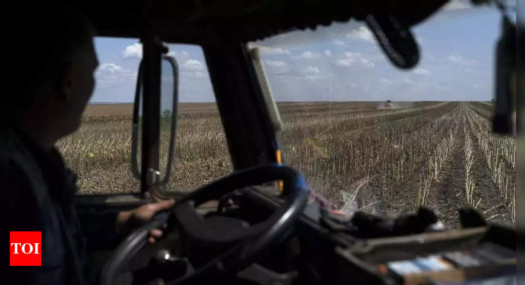 La guerre oblige un village agricole ukrainien à faire la queue pour se nourrir