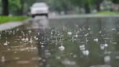 3 dead, 20 injured as rain plays havoc in Agra region