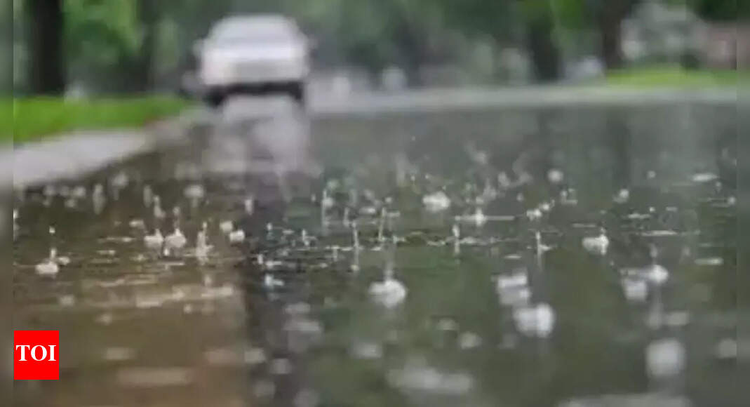 3 Dead, 20 Injured As Rain Plays Havoc In Agra Region Agra News