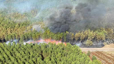 48 arrested over France's summer forest fires