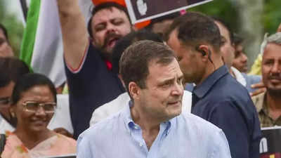 Rahul stationed at container camp in Kerala's Chalakudy on Bharat Jodo Yatra rest day: Ramesh