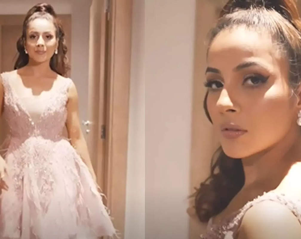 
Shehnaaz Gill channels her inner Barbie Girl as she drops a video in a pink frock
