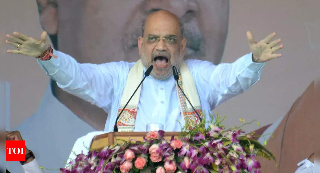 Bihar CM Nitish Kumar backstabbed BJP to pursue his PM ambitions: Amit Shah in Purnia | India News – Times of India