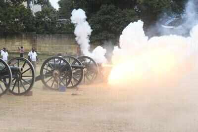 Elephants, horses pass cannon test with flying colours