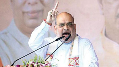 Bihar CM Nitish Kumar backstabbed BJP to pursue PM ambition: Amit Shah