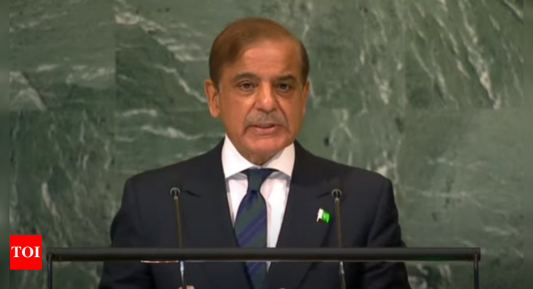 Pakistan Pm Shehbaz Sharif Raises Kashmir At Unga Times Of India