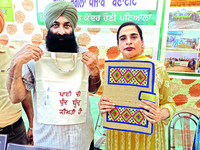 Kisan Mela’s positive vibes: ‘Manja’ out of crop residue & games to entice kids