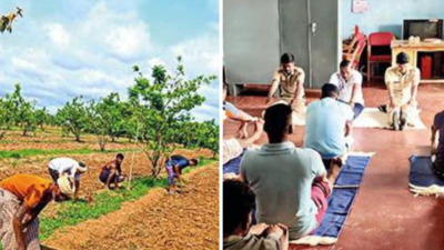 Karnataka: Haveri jail grows its veggies, pays government Rs 3 lakh