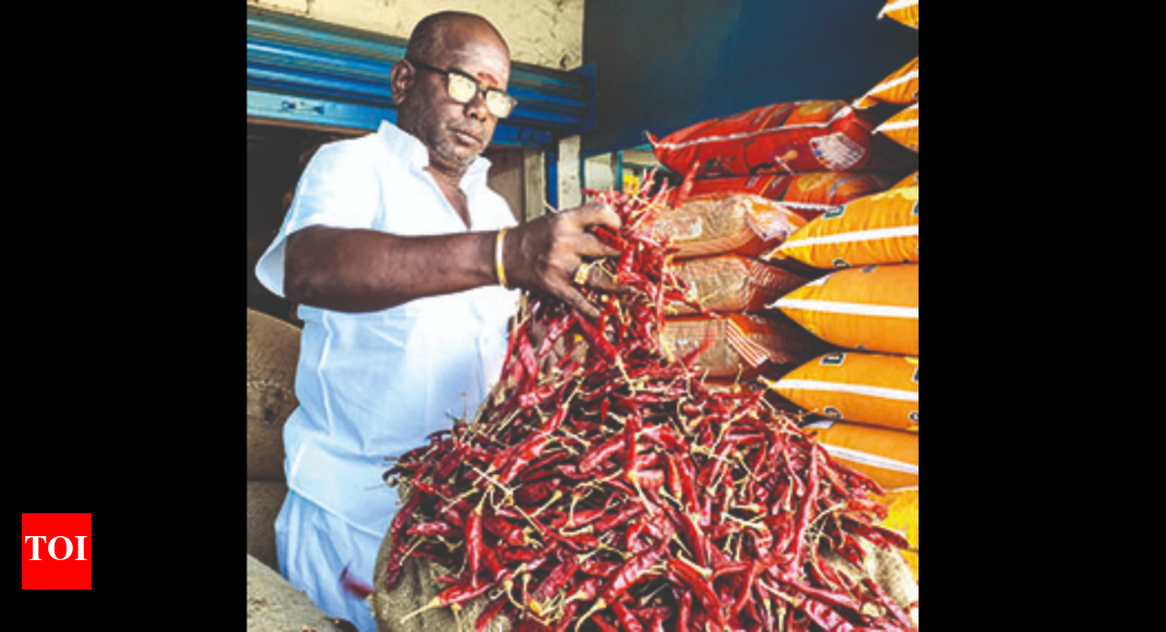 trichy-red-chilli-price-touches-new-high-in-trichy-trichy-news
